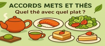 Accords mets et thés : quel thé avec quel plat ? Guide pratique pour sublimer vos repas